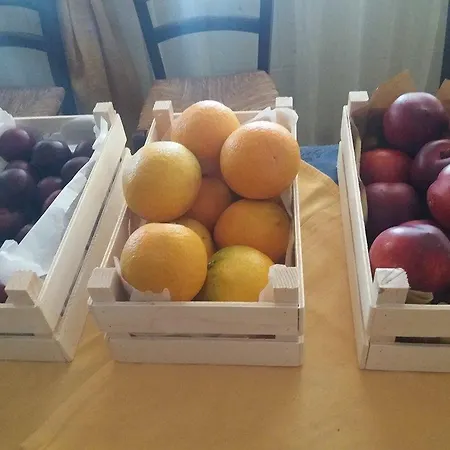 Tenuta Sant'emiliano